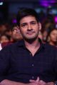 Mahesh Babu @ Sri Sri Movie Audio Launch Stills