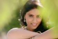Telugu Actress Sri Sudha Photoshoot Stills
