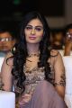 Actress Neha Hinge @ Sri Valli Movie Audio Launch Stills