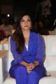 Actress Mehreen Pirzada @ Dil Raju Sri Venkateswara Creations 2017 Success Celebrations Stills