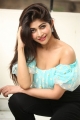 Shukra Movie Heroine Srijitaa Ghosh Photos