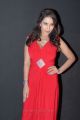 New Telugu Actress Srilekha Hot Photos