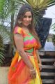 Actress Sri Reddy Mallidi Photos in Half Saree