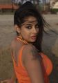 Actress Srilekha Spicy Hot Images