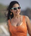 Tamil Actress Sreelekha Spicy Hot Images