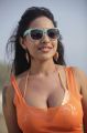 Tamil Actress Srilekha Spicy Hot Images