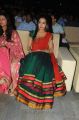 Catherine Tresa at Srimannarayana Audio Launch Stills