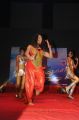 Srimannarayana Audio Launch Stills