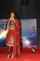 Srimannarayana Movie Audio Launch Stills