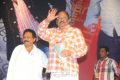 Srimannarayana Movie Audio Launch Function Stills