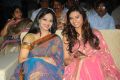 Isha Chawla at Srimannarayana Audio Launch Function Stills