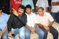 Srimannarayana Audio Launch Function Stills