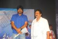 Srimannarayana Movie Audio Launch Function Stills