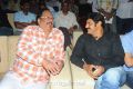 Srimannarayana Audio Launch Function Stills