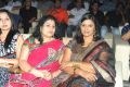 Srimannarayana Movie Audio Launch Function Stills