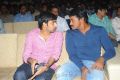 Srimannarayana Audio Launch Function Stills