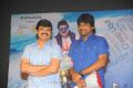 Srimannarayana Audio Launch Function Stills