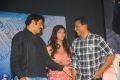 Srimannarayana Movie Audio Launch Function Stills