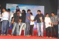 Srimannarayana Audio Release Stills