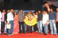 Srimannarayana Audio Release Stills