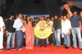 Srimannarayana Audio Release Stills