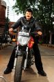 Srimannarayana Movie Balakrishna Latest Stills