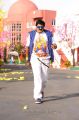 NBK in Srimannarayana Movie Latest Stills