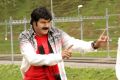 Srimannarayana Movie Balakrishna Latest Stills