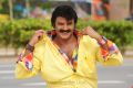 Srimannarayana Balakrishna Latest Stills