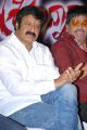 Balakrishna at Srimannarayana Success Meet Stills