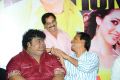 Srimannarayana Movie Success Meet Stills