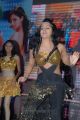 Hot Rachana Maurya at Srimannarayana Triple Platinum Disc Function Stills