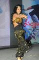 Hot Rachana Maurya Dance at Srimannarayana Platinum Function Stills