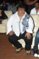 Chakri at Srimannarayana Triple Platinum Disc Function Stills