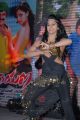 Hot Rachana Maurya Dance at Srimannarayana Platinum Function Stills