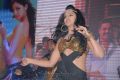 Hot Rachana Maurya Dance at Srimannarayana Platinum Function Stills