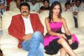 Balakrishna, Parvathi Melton at Srimannarayana Triple Platinum Disc Function Stills