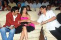 Srimannarayana Movie Platinum Disc Function Stills