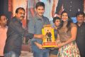 Srimanthudu Movie Thanks Meet Stills