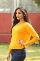 Actress Srinidhi Shetty Pictures @ KGF Success Meet