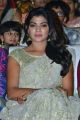 Srinivasa Kalyanam Audio Launch Stills