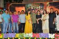 Srinivasa Kalyanam Pre Release Event Stills