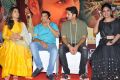 Srinivasa Kalyanam Pre Release Event Stills