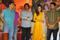 Srinivasa Kalyanam Pre Release Event Stills