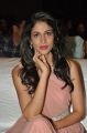 Lavanya Tripathi @ Srirastu Subhamastu Pre Release Function Stills