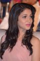 Lavanya Tripathi @ Srirastu Subhamastu Pre Release Function Stills