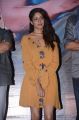 Actress Lavanya Tripathi @ Srirastu Subhamastu Trailer Launch Stills