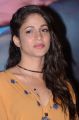 Actress Lavanya Tripathi @ Srirastu Subhamastu Trailer Launch Stills