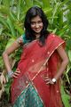 Telugu Actress Srividya in Half Saree Hot Stills