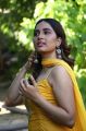 Rajavukku Check Movie Actress Srushti Dange HD Pictures